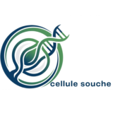 cellulesouche